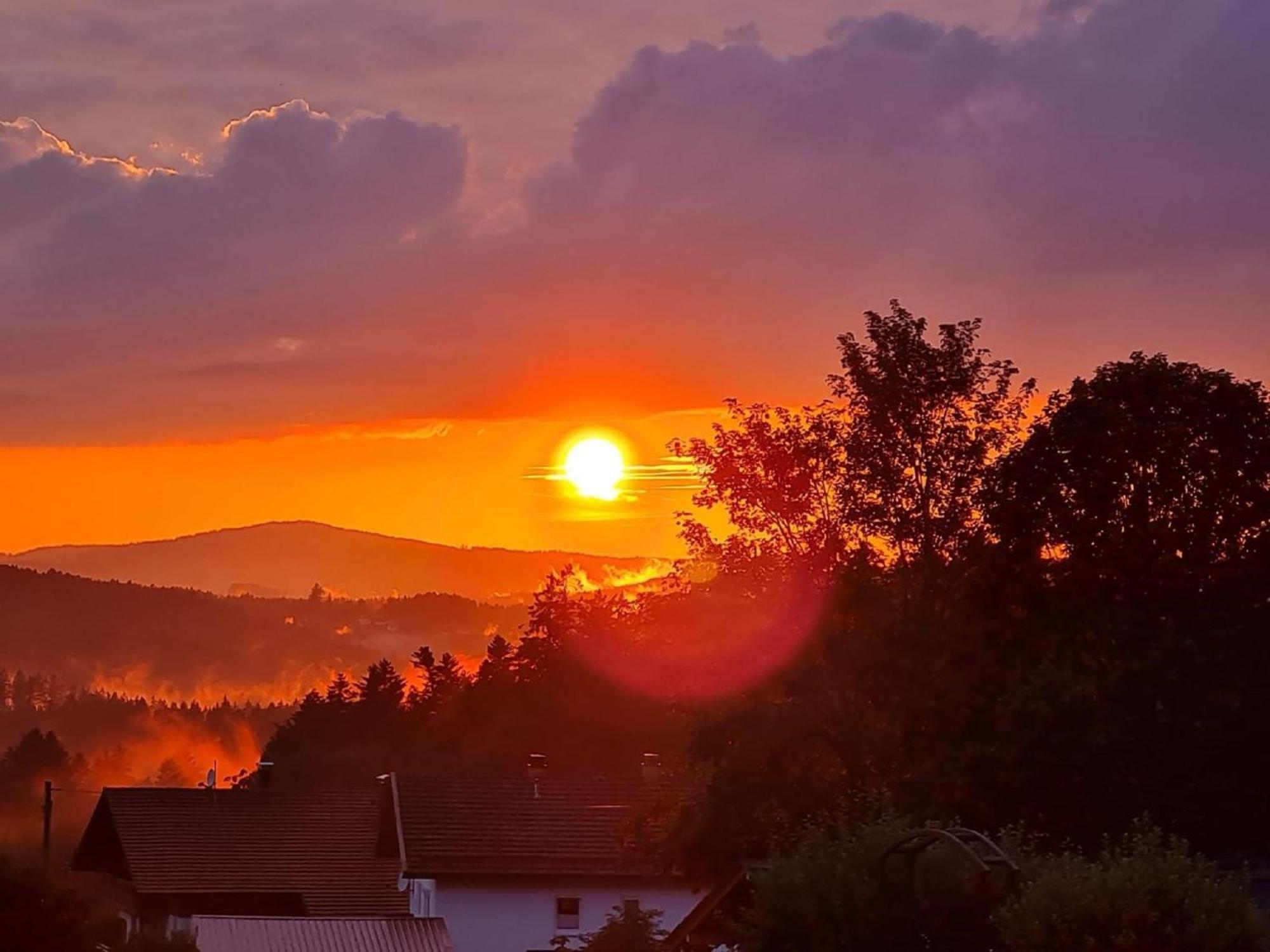 Apartament Blockhaus Am Baumwipfelpfad Neuschönau